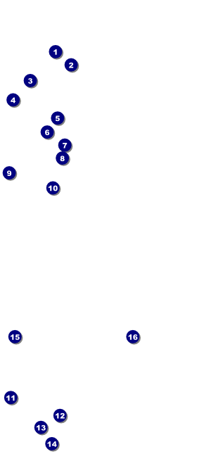 Kansas City BW  VIP Event Badge Large Front Field Markers