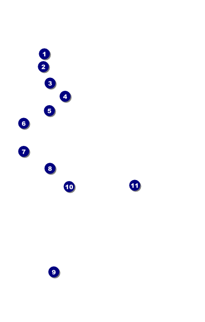 Kansas City VIP Event Badge Medium Front Field Markers