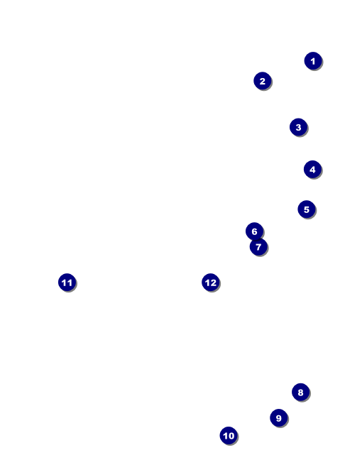 Animal Print Economy Event Badge Front Field Markers