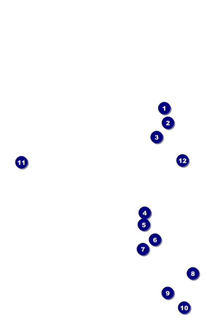 Mexican Fiesta VIP Event Badge Medium Front Field Markers