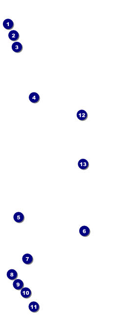 New York VIP Event Badge Large Front Field Markers