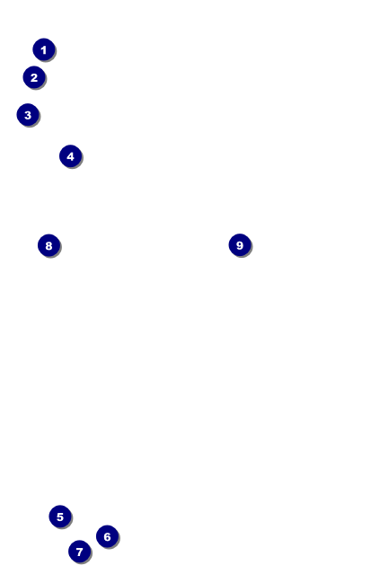 Banjo VIP Event Badge Medium Front Field Markers