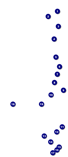 Book Fair VIP Event Badge Large Front Field Markers