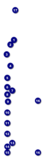 Happy Birthday Chevron Event Ticket Front Field Markers