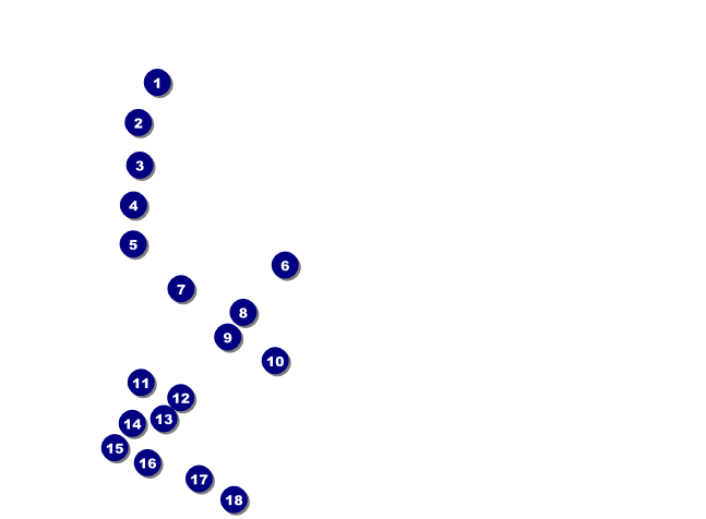 American Flag Invitation 002 Front Field Markers