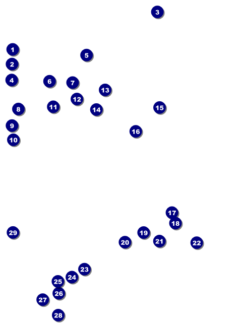 Lacrosse LAX Stick Invitation Front Field Markers