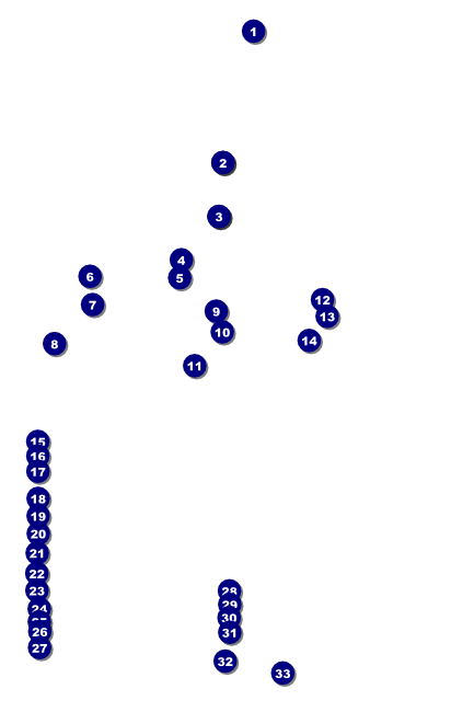 Softball Poster Front Field Markers