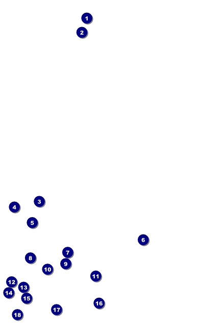 Symphony Holiday Pops Poster Front Field Markers