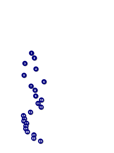 St. Patrick's Day Flyer 003 (black and white) Front Field Markers