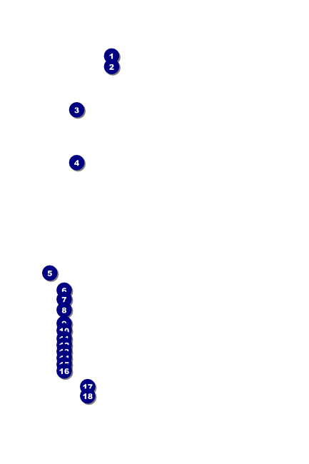 African Theme Poster Front Field Markers