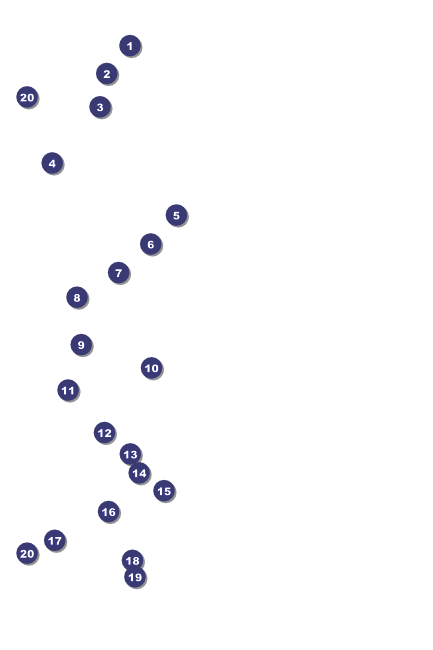 Year Poster (Red) Front Field Markers