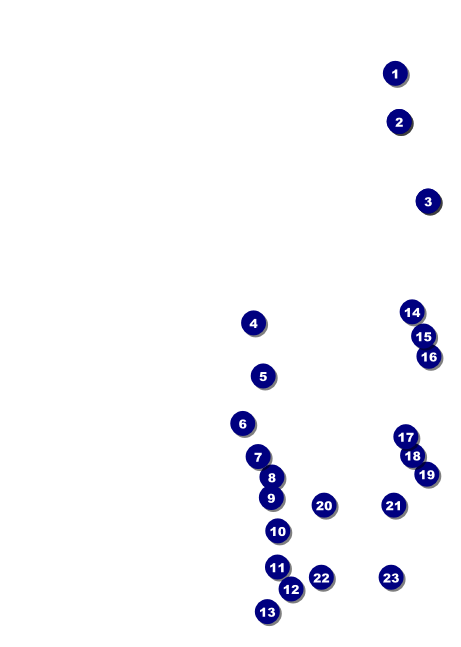 Disco Dance Festival Postcard Front Field Markers