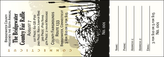 Connecticut Raffle Ticket