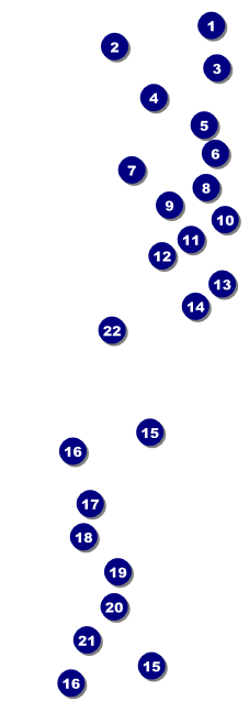Nightclub Yellow Raffle Ticket Front Field Markers