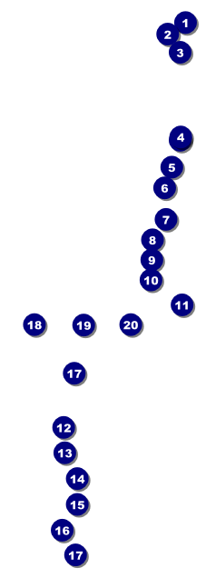 Mentoring Raffle Ticket Front Field Markers