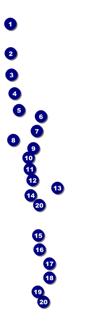 Religious Stained Glass Dove Raffle Front Field Markers