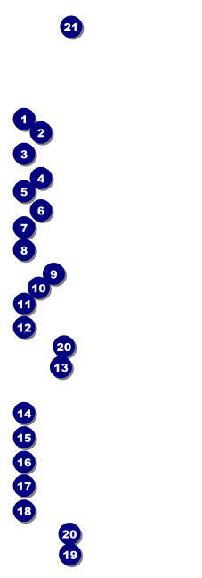 Las Vegas Lucky Raffle Ticket Front Field Markers