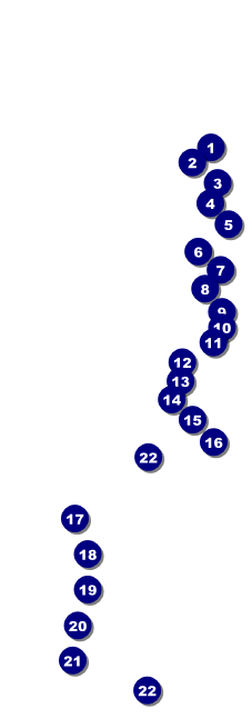 Film Festival Raffle Ticket Front Field Markers