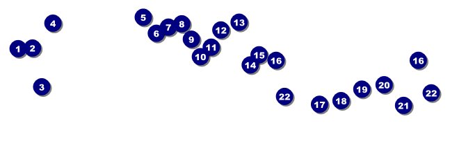 Chicago Raffle Ticket Front Field Markers