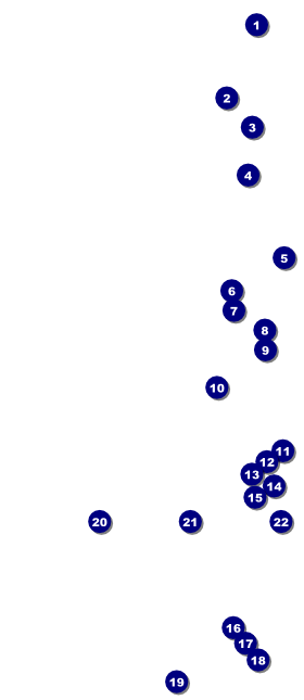 Classic Brown Pinstripe VIP Pass Front Field Markers