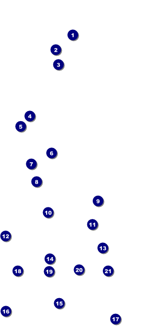 Golf Water Hazard VIP Pass Front Field Markers