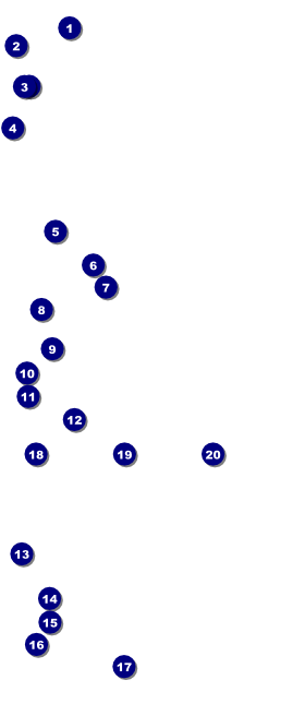 Sunrise Clouds VIP Pass Front Field Markers