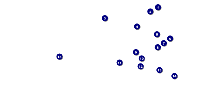 Twin Cities VIP Pass Front Field Markers