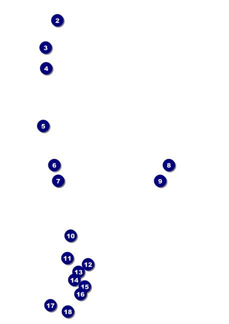 Carnival Monkey Postcard Front Field Markers