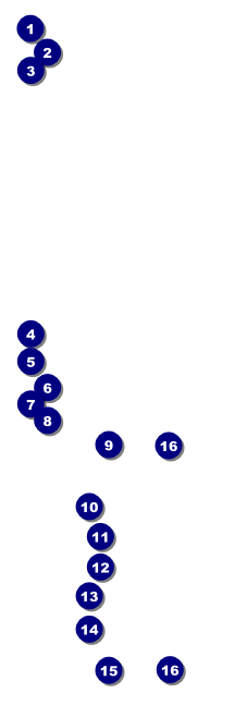 Zodiac Raffle Ticket Front Field Markers