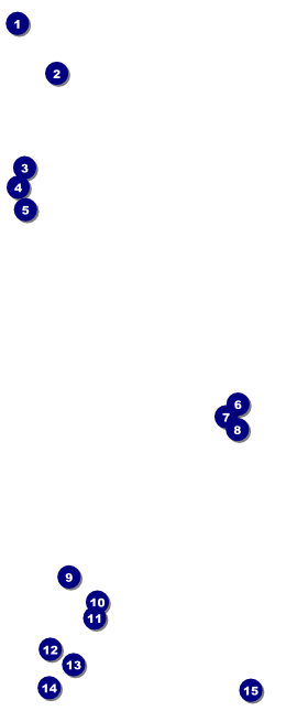 High Tea VIP Pass Front Field Markers