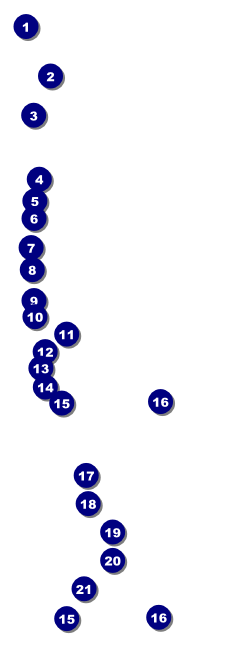 Fall Raffle Ticket Front Field Markers