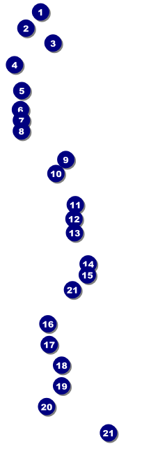 Retro Candy Raffle Ticket Front Field Markers