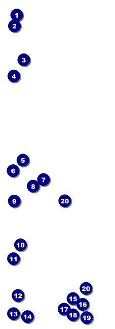 Skateboarding Event Ticket Front Field Markers