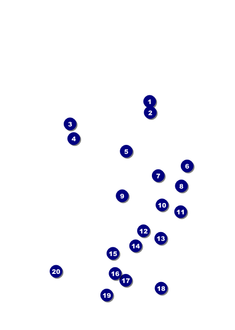 NewYork Club Flyer Front Field Markers