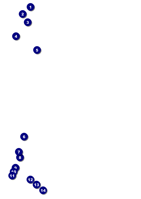 Santa Barbara Club Flyer Front Field Markers